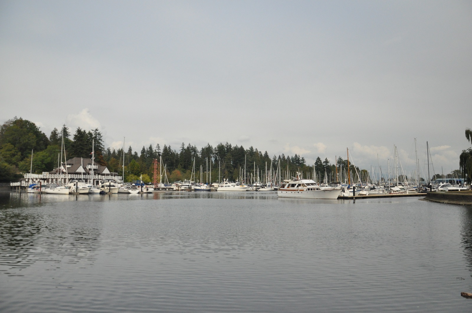 IMG276.JPG
