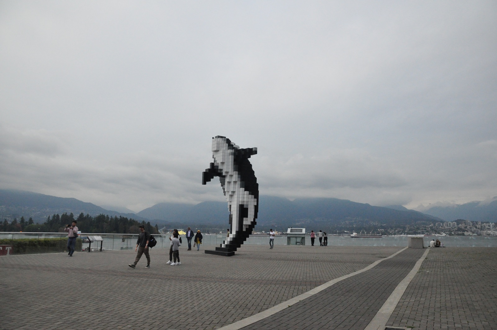 IMG291.JPG