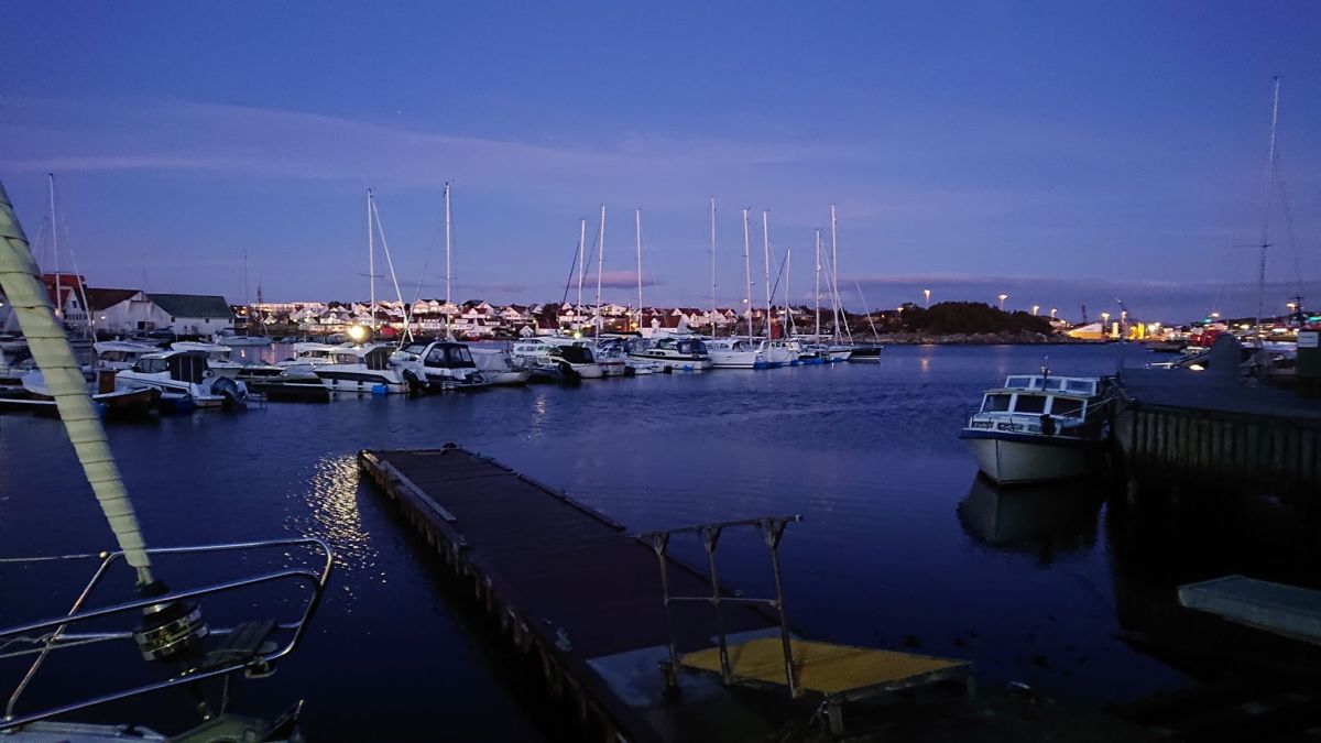 image003.jpg