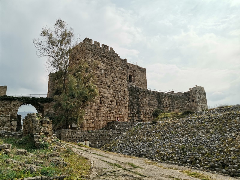 56.jpg
