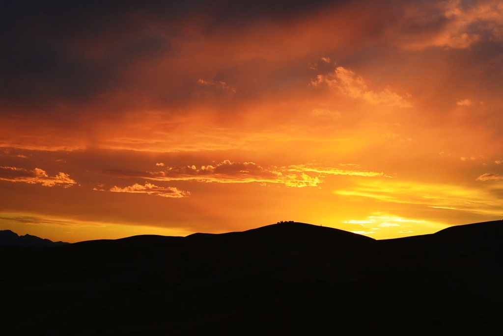 DSC_1703.JPG