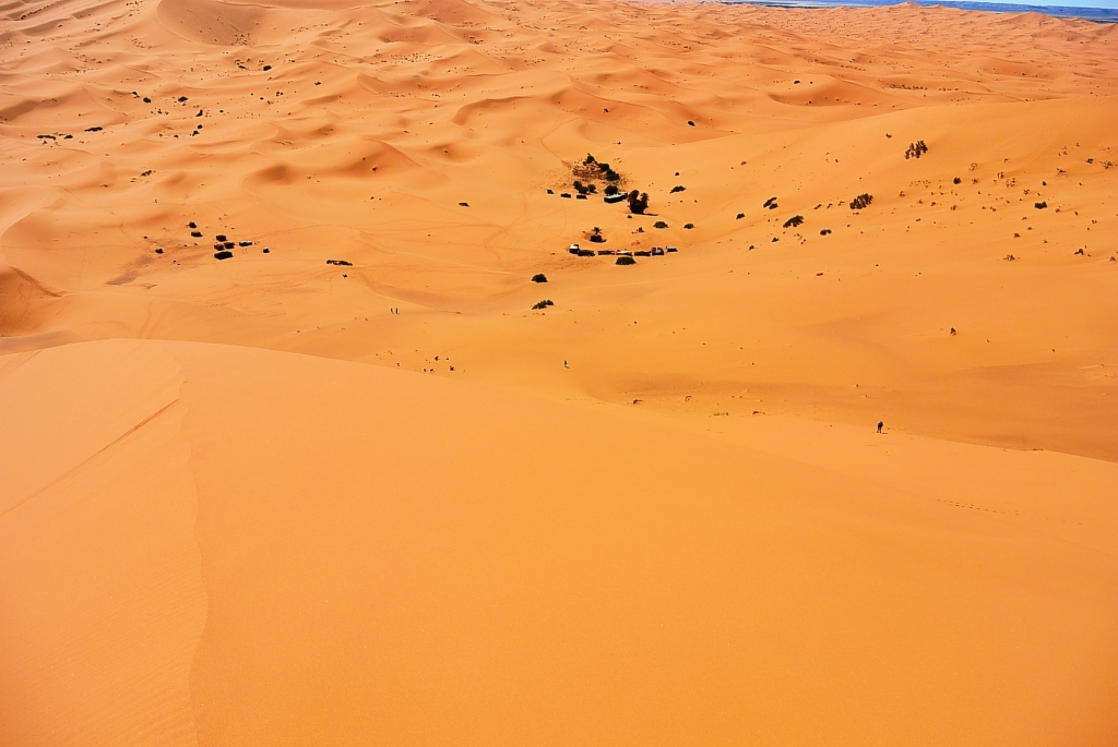 DSC_1800.JPG