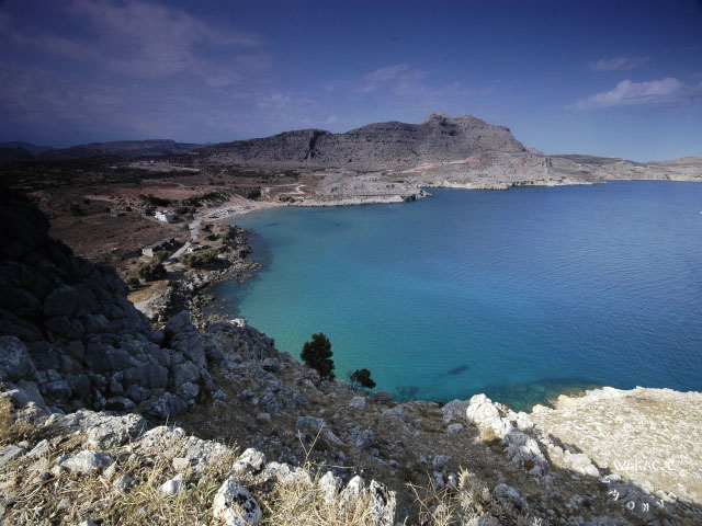 Agathi.jpg