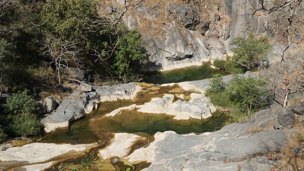 DSC07161.JPG