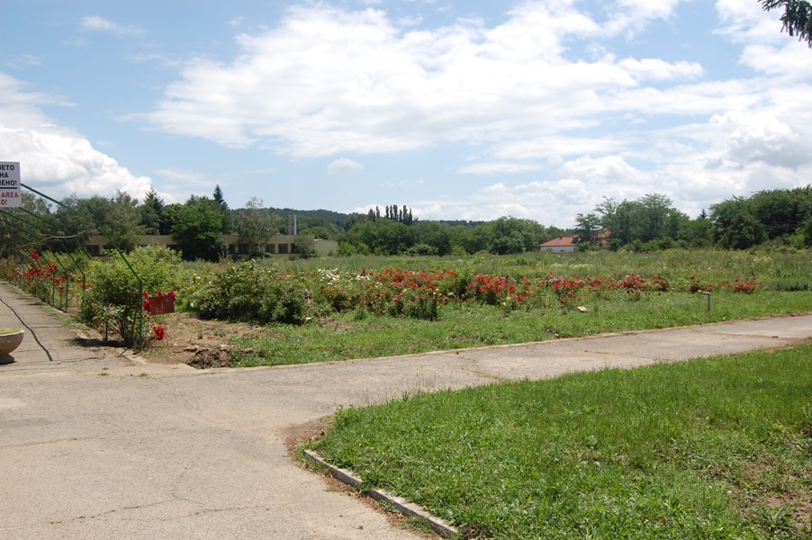 DSC_8731.JPG