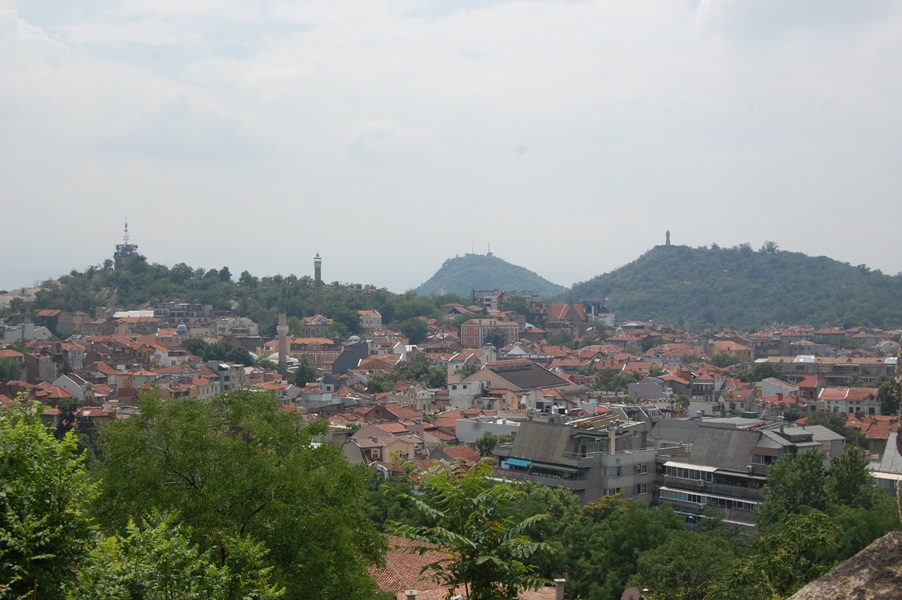 DSC_8930.JPG