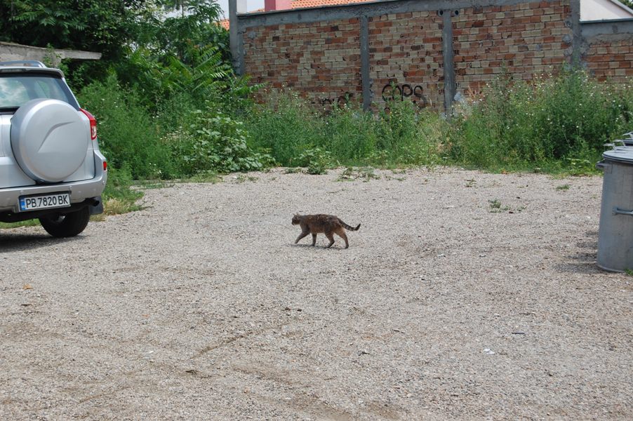 DSC_8946.JPG