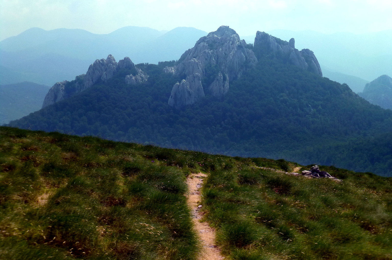 P2830543a.JPG