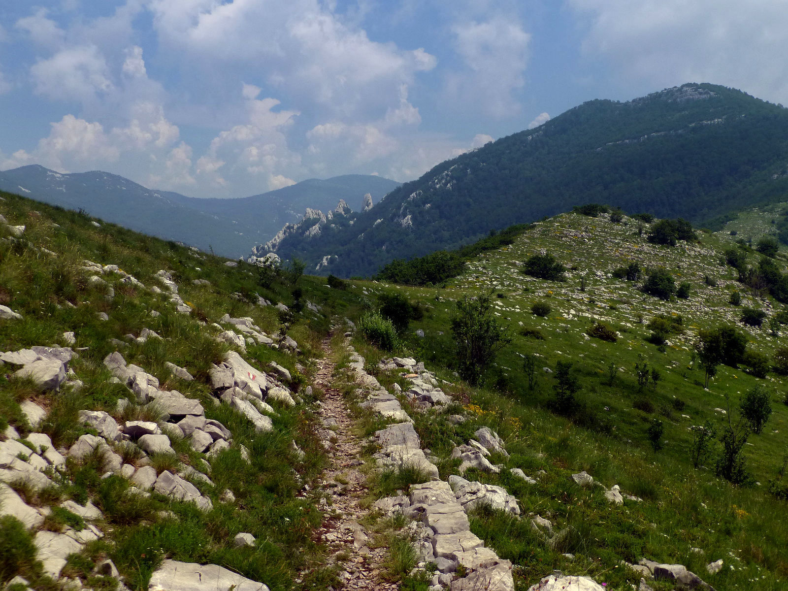 P2830582.JPG
