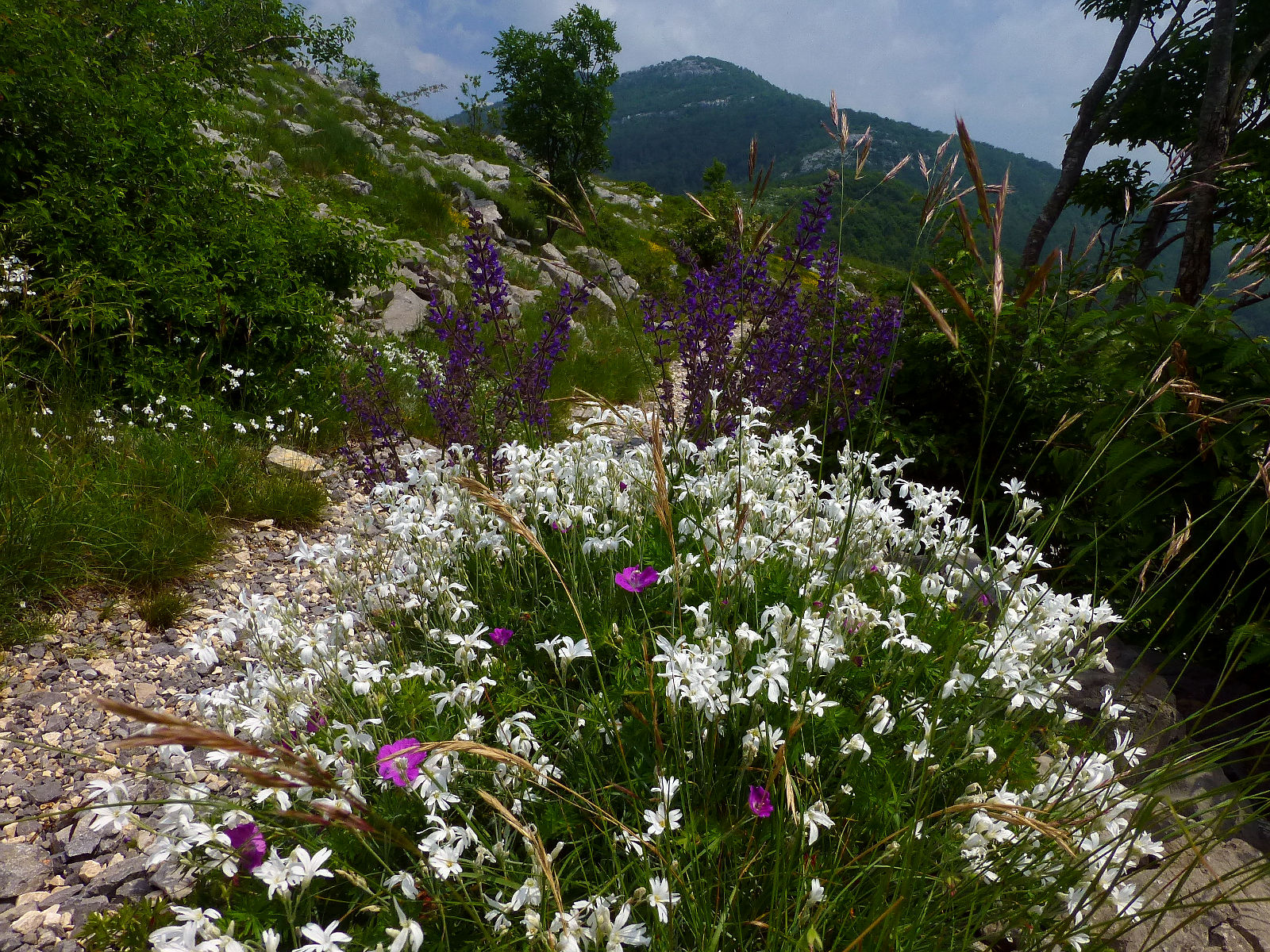 P2830593.JPG