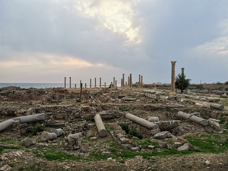 176.jpg