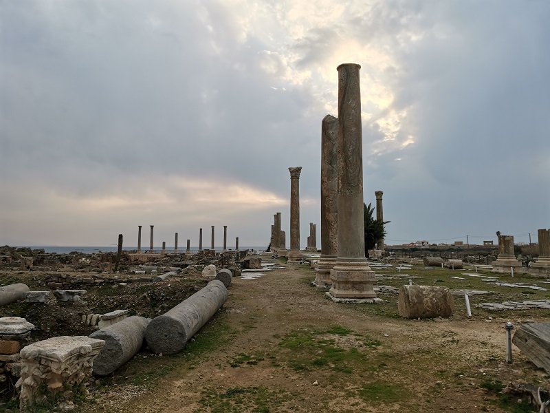 177.jpg