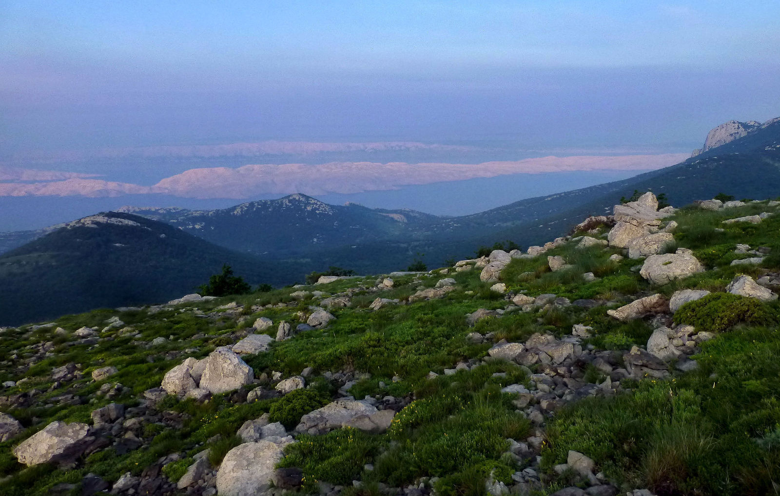 P2830379a.JPG