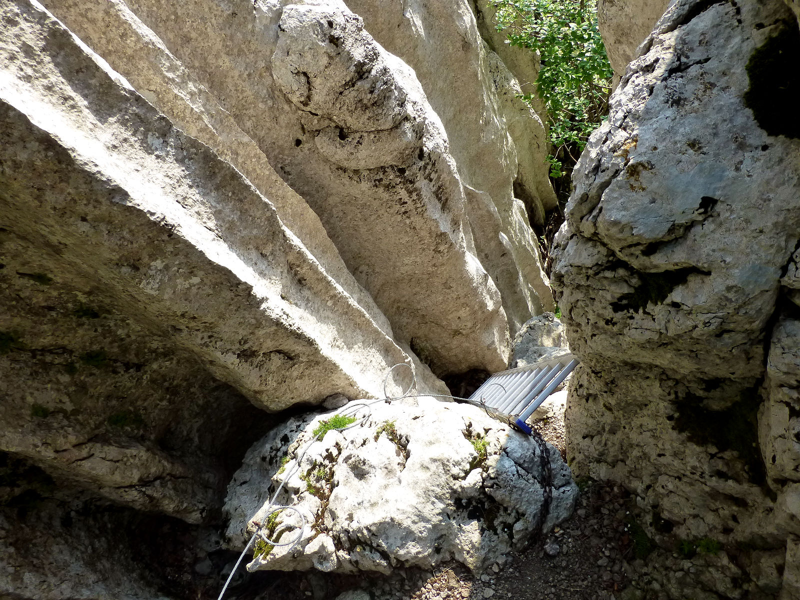 P2830455.JPG