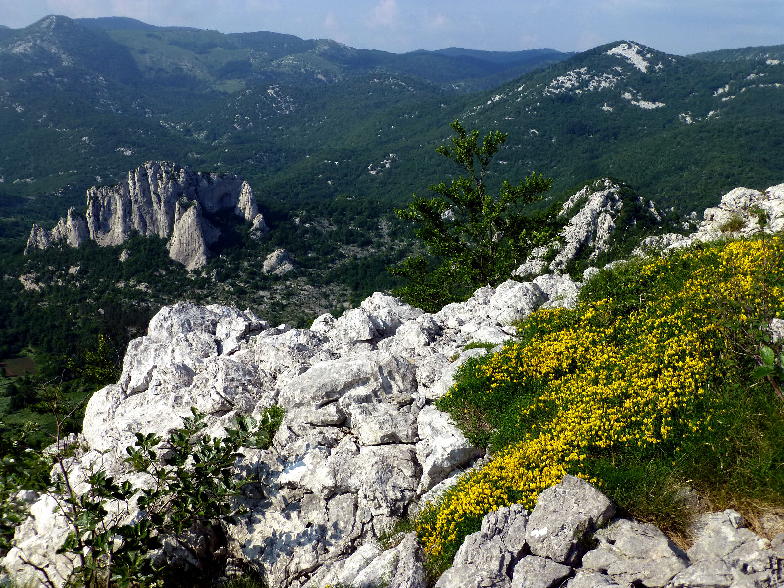 P2730312.JPG