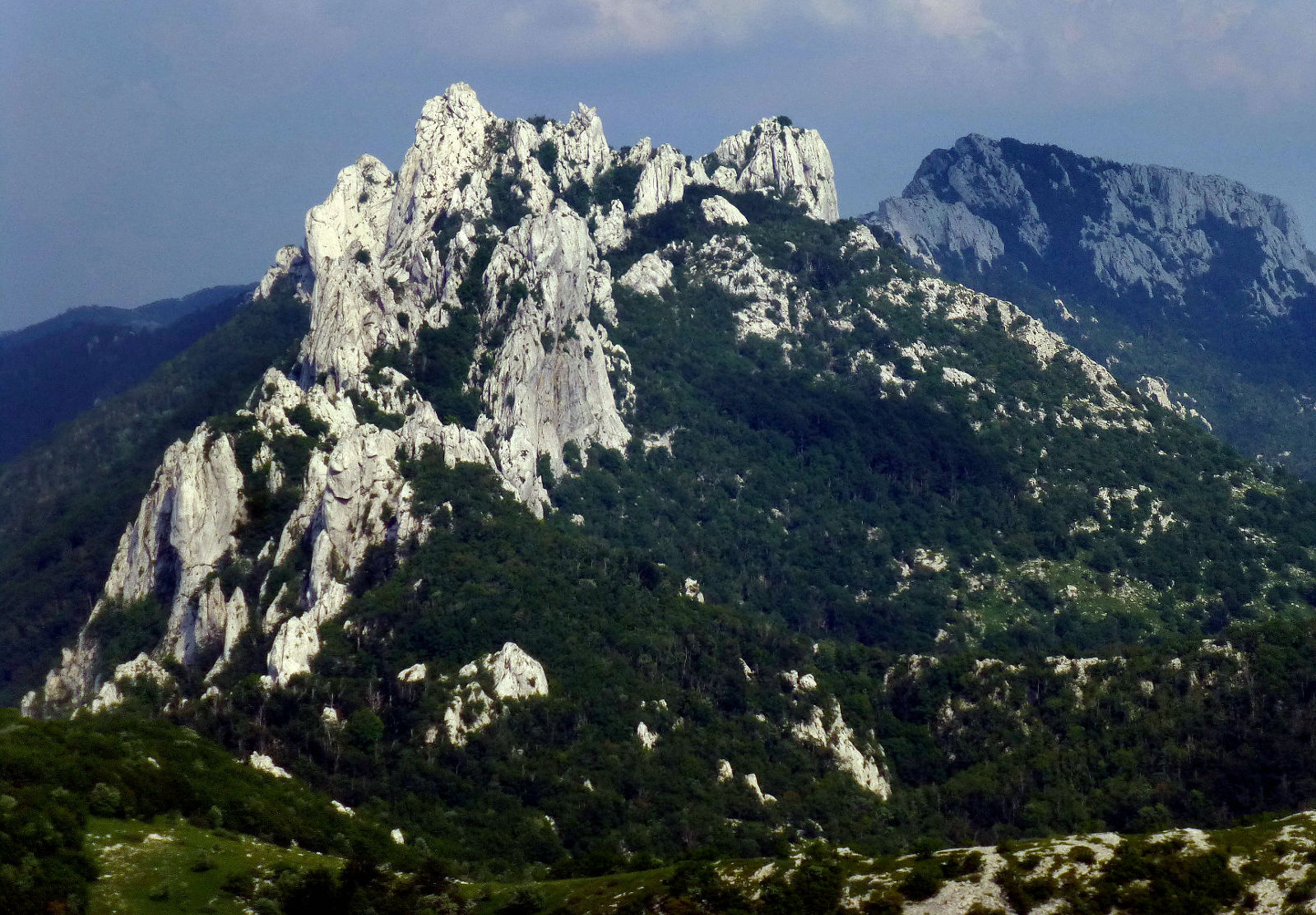 P2730331a.JPG
