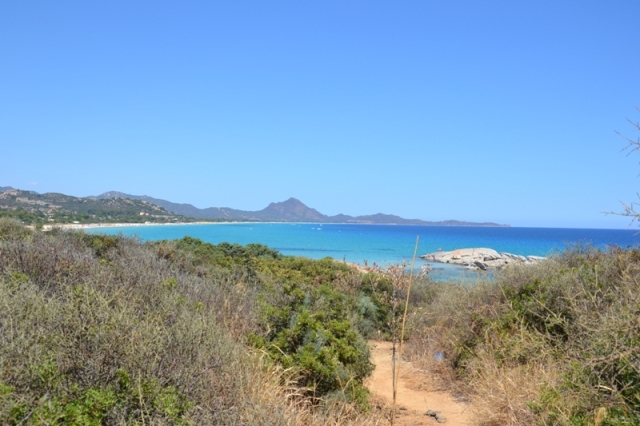 DSC_0328.JPG