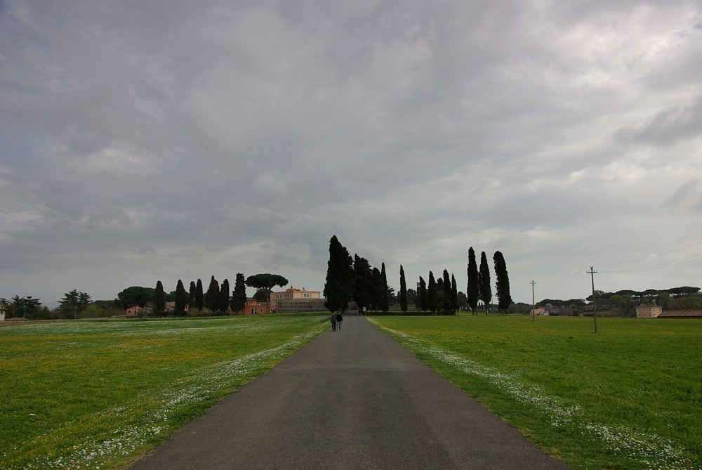 IMGP1233.JPG