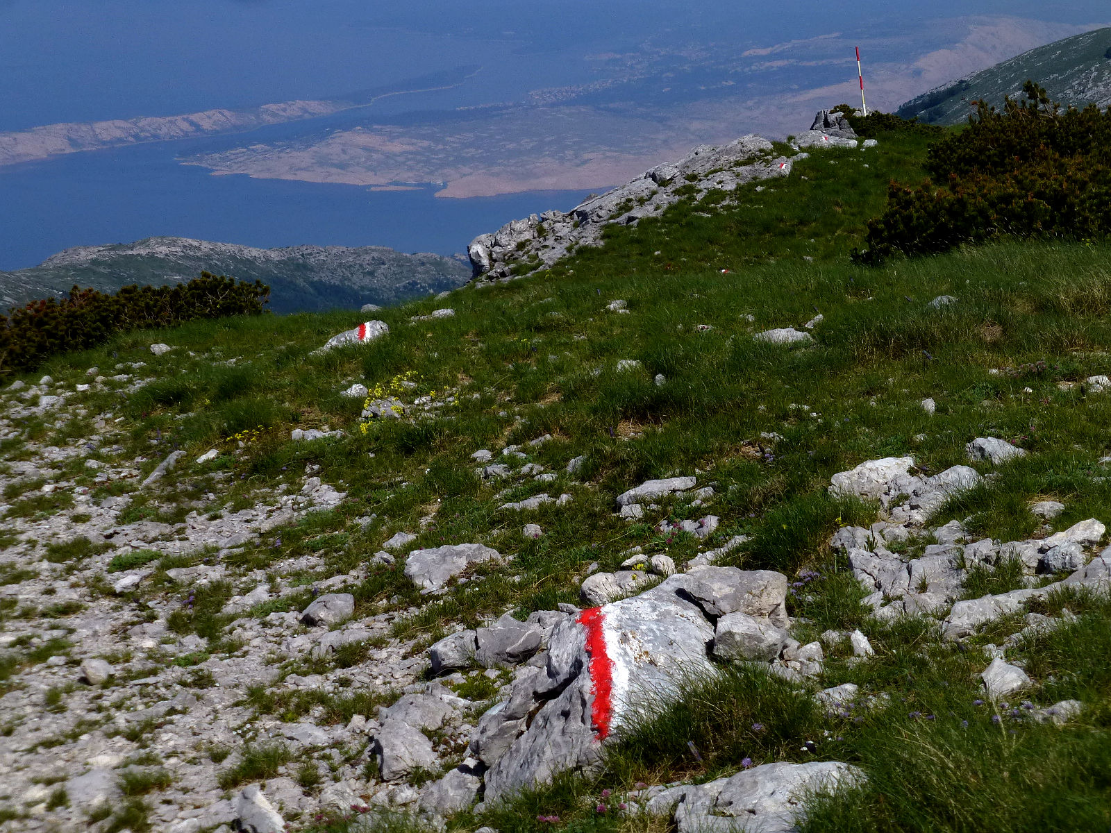 P2730133.JPG