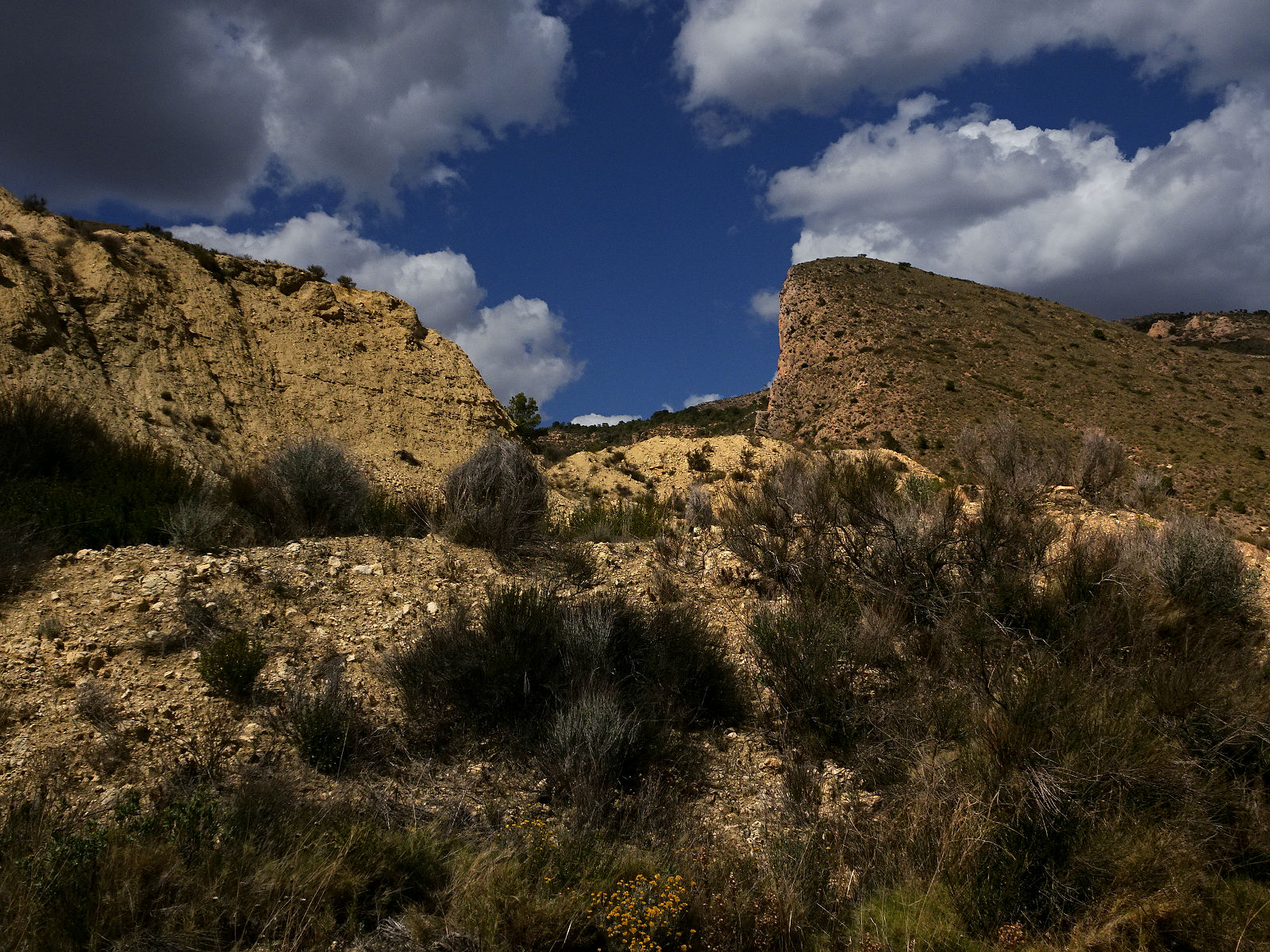 DSC02875.JPG