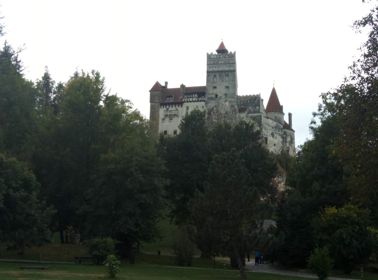 78.jpg