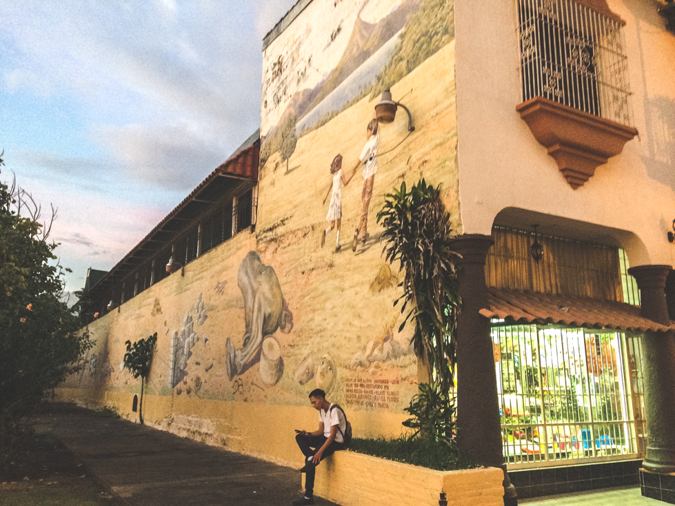 IMG_1445.jpg