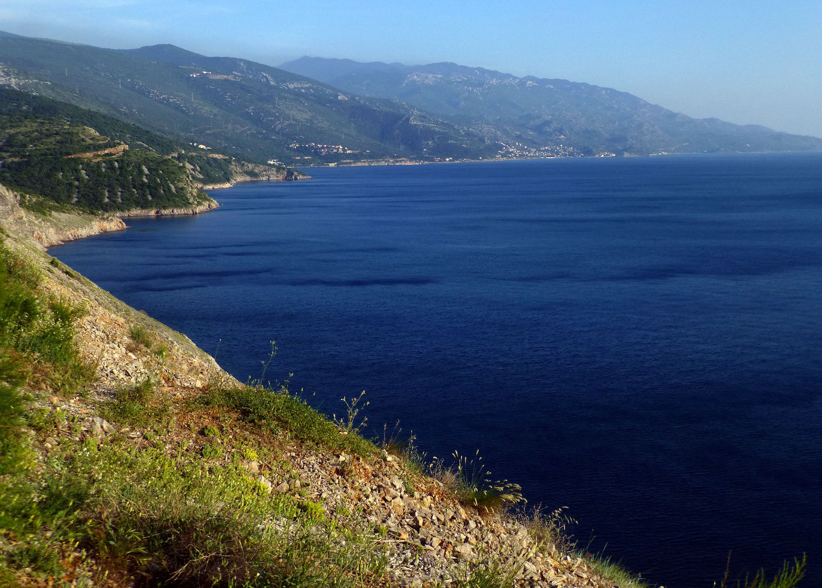 P2630004a.JPG