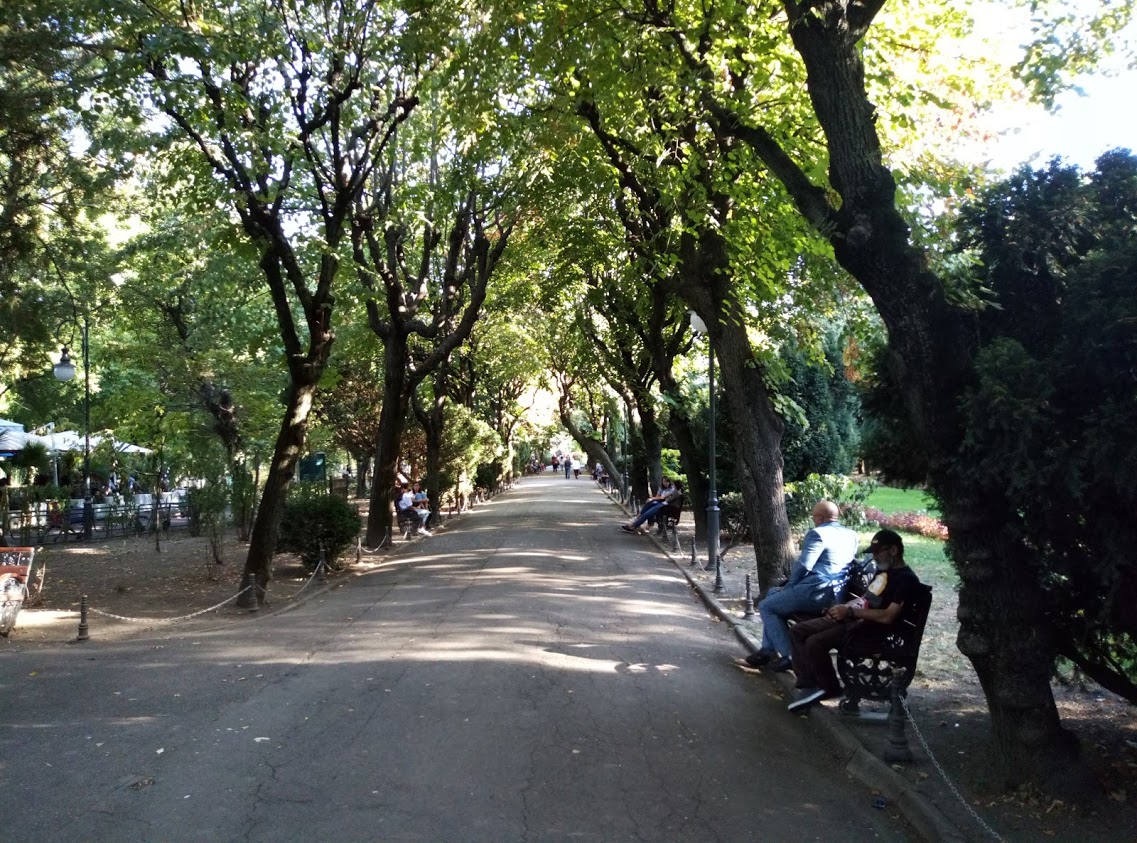 117.jpg