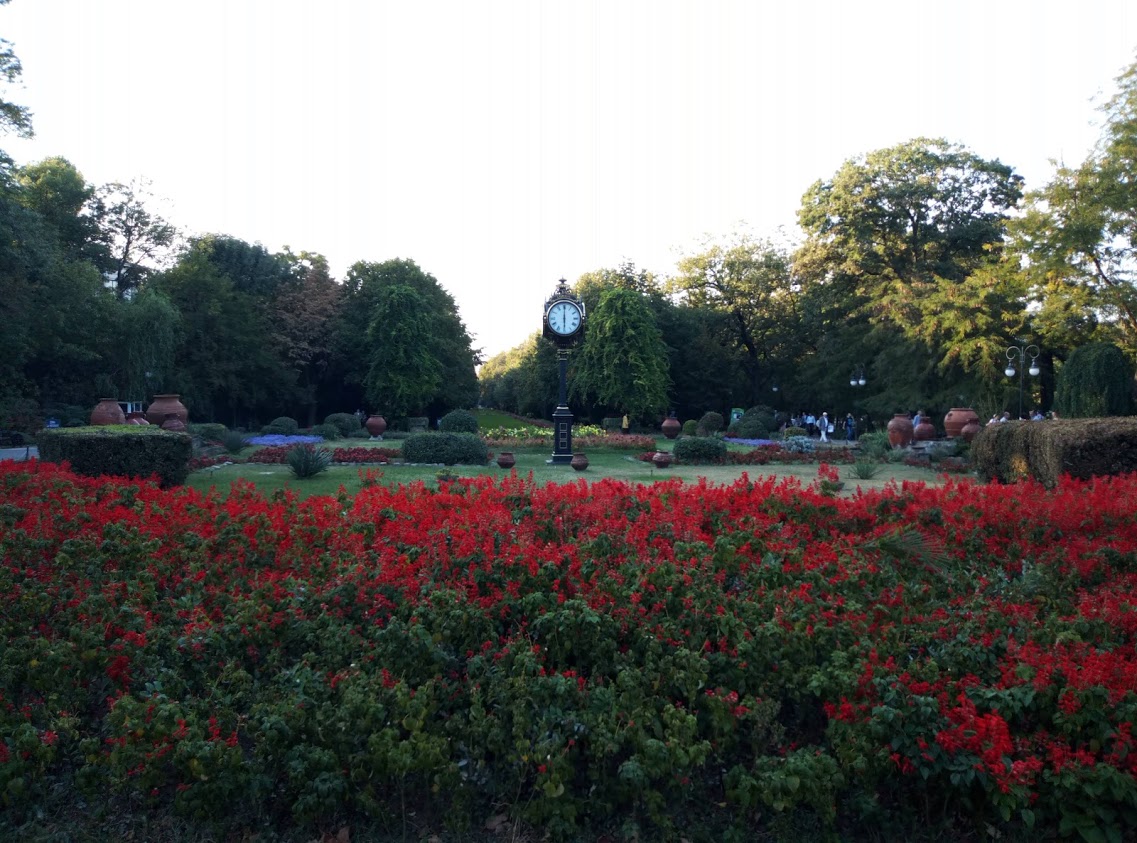 118.jpg