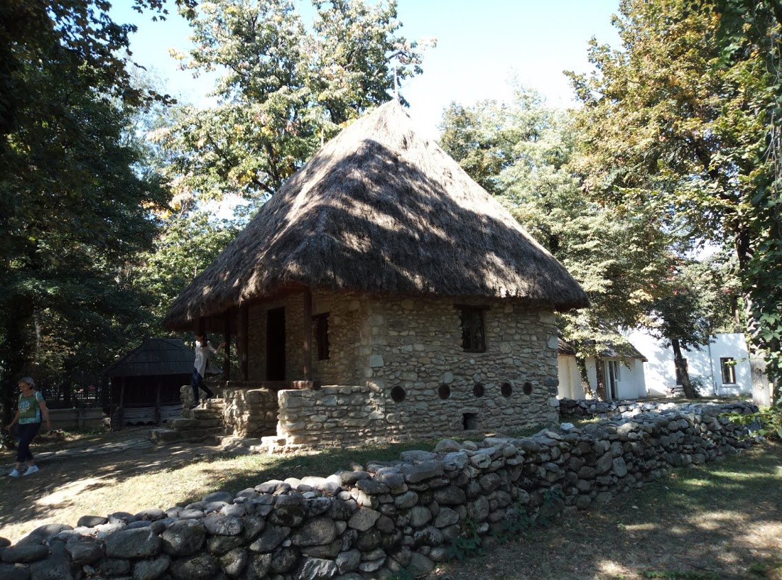 143.jpg
