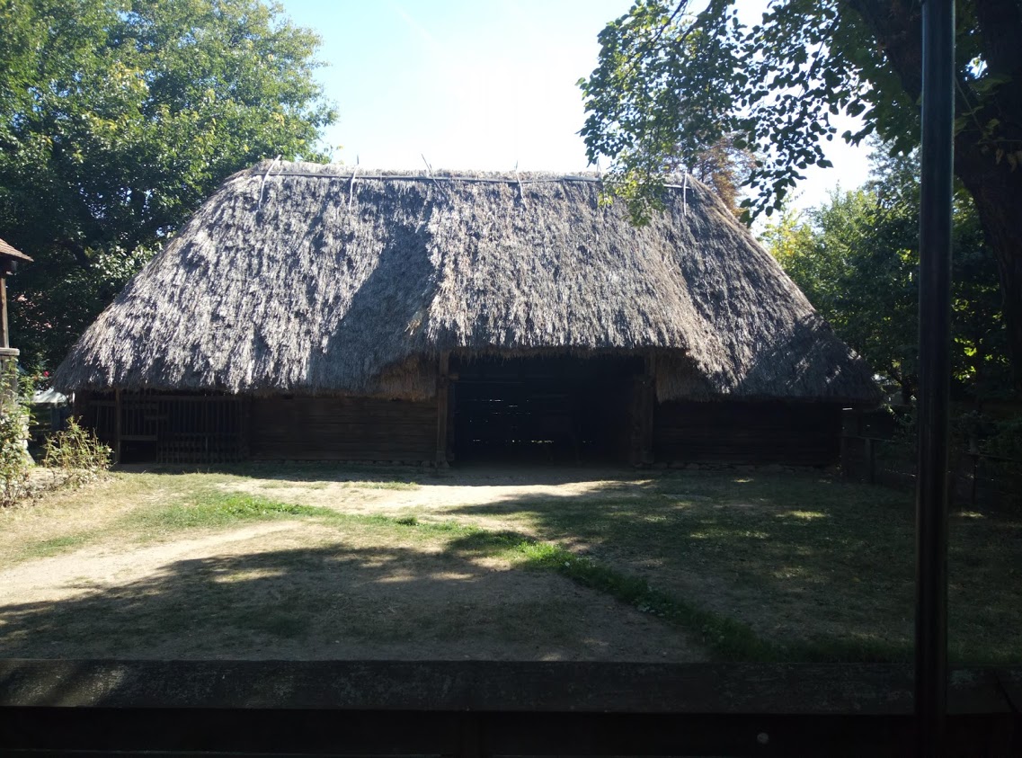 144.jpg