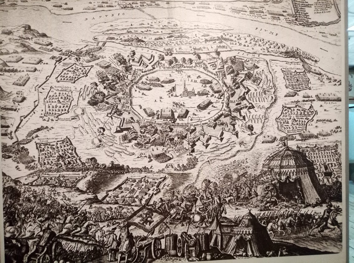 161.jpg