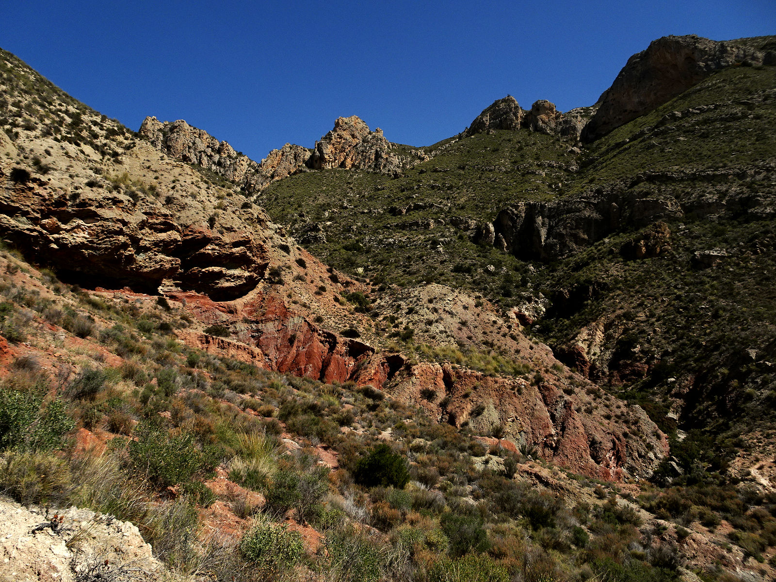 DSC03284.JPG