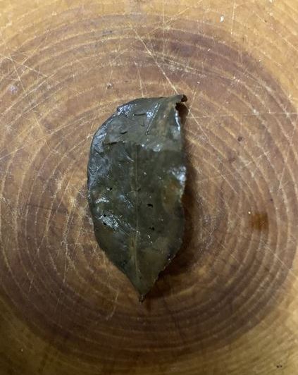 Oolong2.JPG
