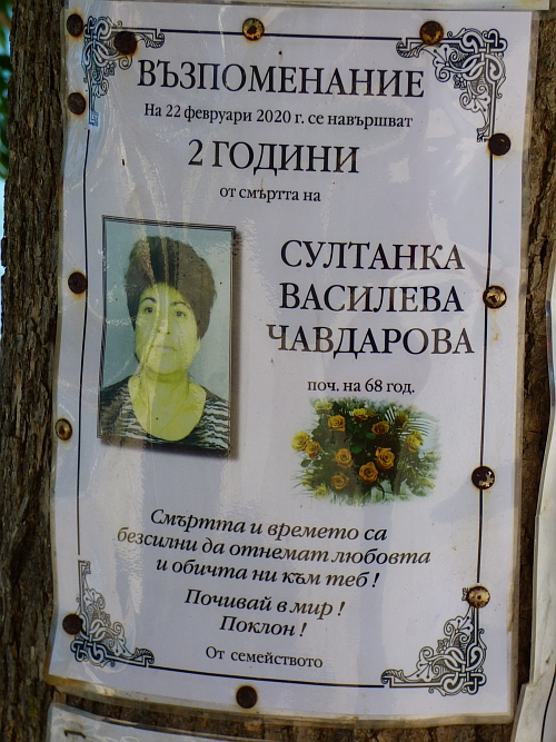 64.jpg