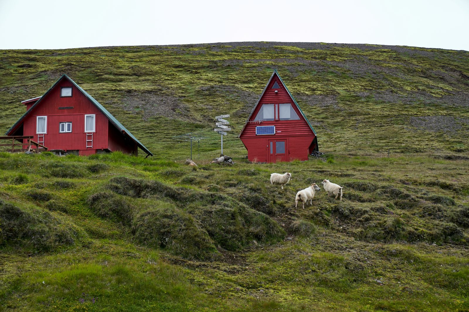 Islandia_130.jpg