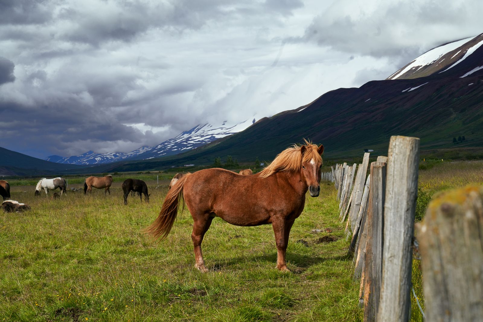Islandia_299.jpg