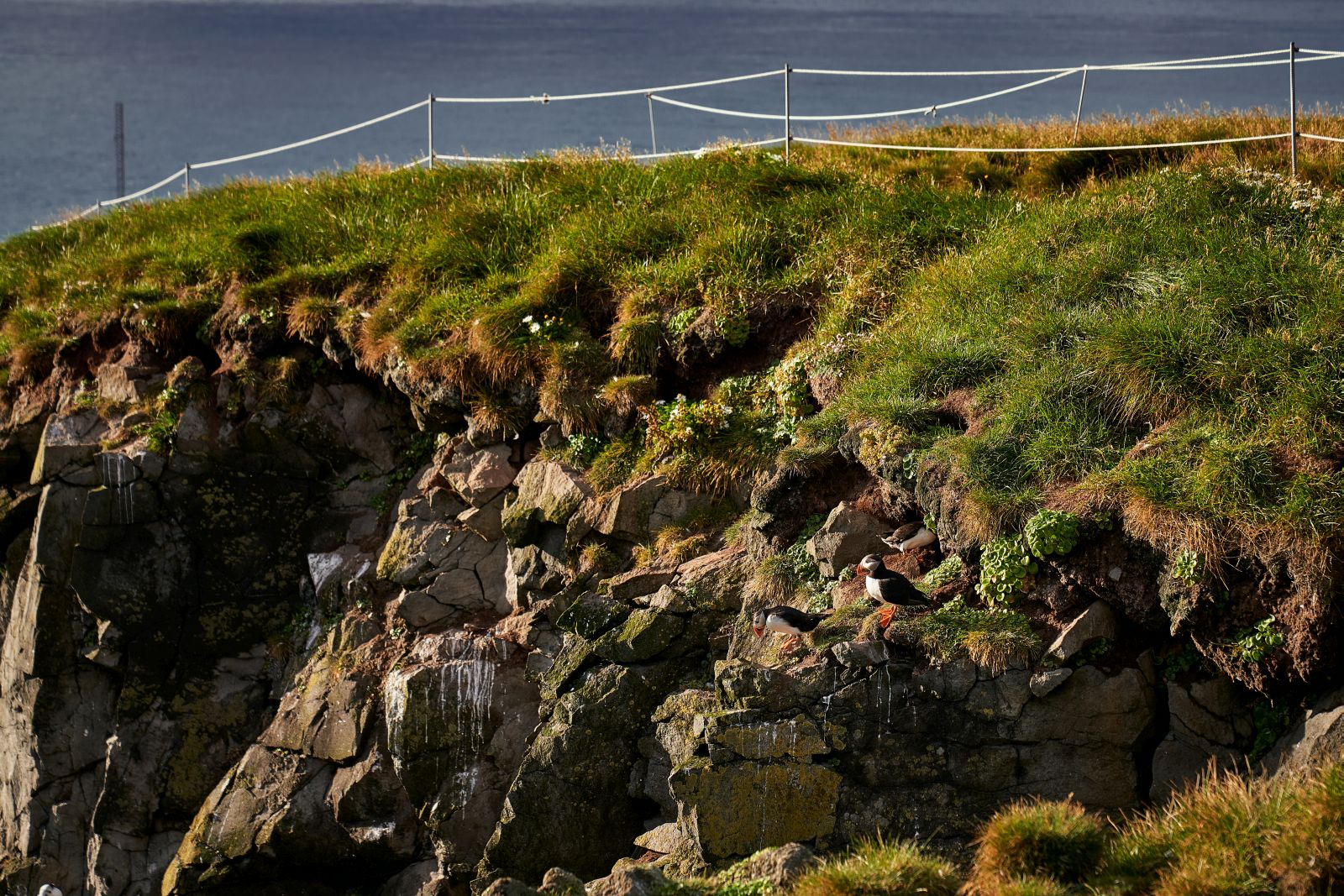 Islandia_447.jpg