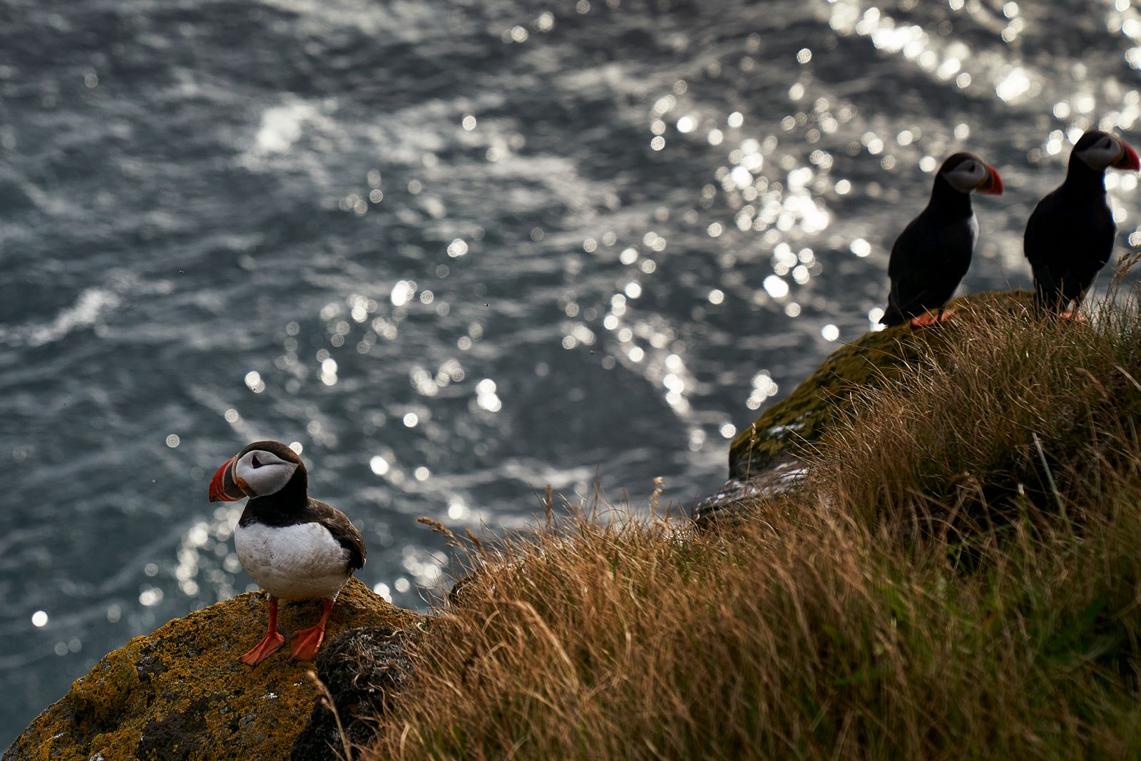 Islandia_483.jpg