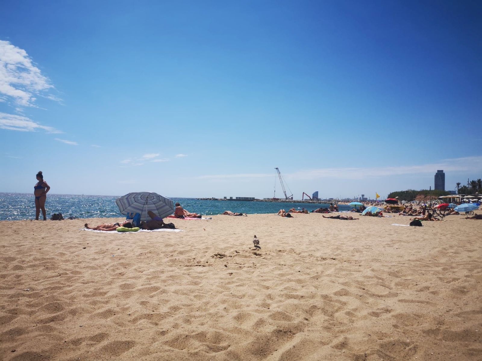 plaża 7.jpg
