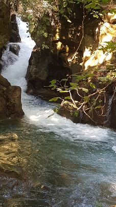 Banias_źródła Jordanu.jpg