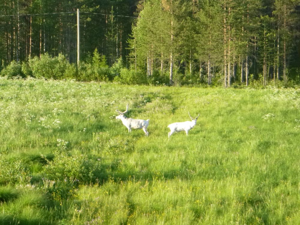 25 (8).jpg