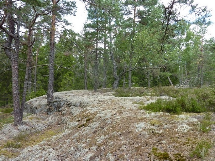 P1070561.JPG