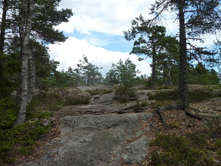 P1070564.JPG