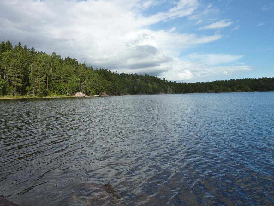 P1070571.JPG