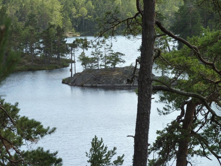 P1070575.JPG