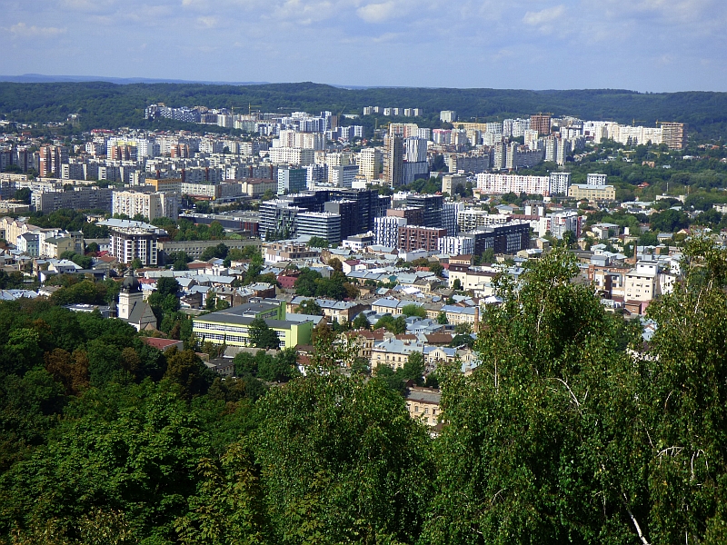 59.jpg