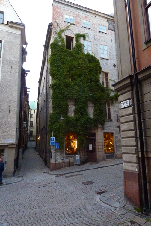 P1070744.JPG