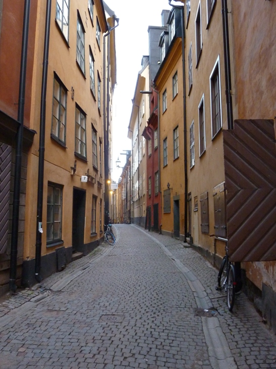 P1070749.JPG