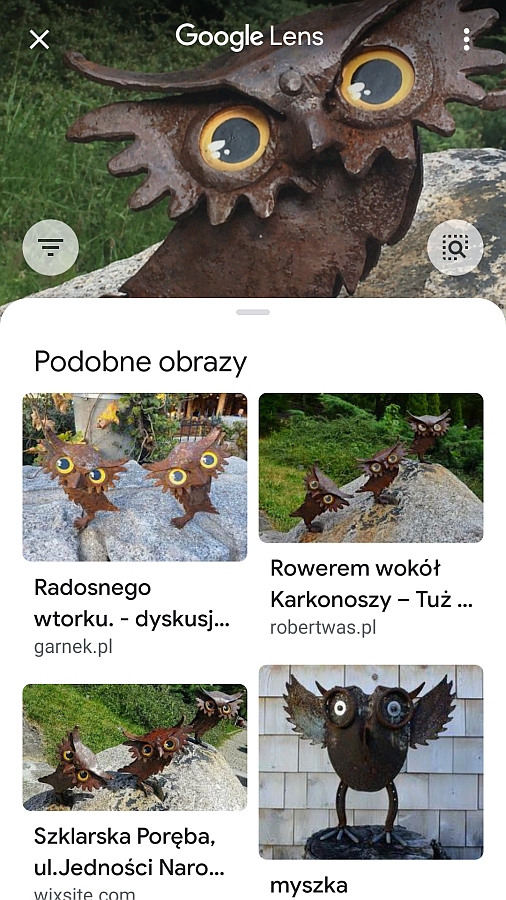 sowy_ze _szklarskiej.jpg
